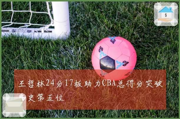 王哲林24分17板助力CBA总得分突破历史第五位