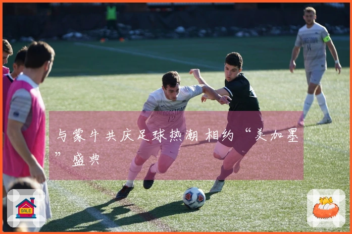 与蒙牛共庆足球热潮 相约“美加墨”盛典