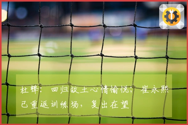 杜锋：回归故土心情愉悦；崔永熙已重返训练场，复出在望